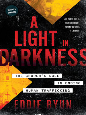 cover image of A Light in Darkness